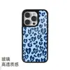 Funda de cristal mate exclusiva transfronteriza para iPhone 14 Pro Max con estampado de leopardo y corazón azul Klein, iPhone 18 Pro Max