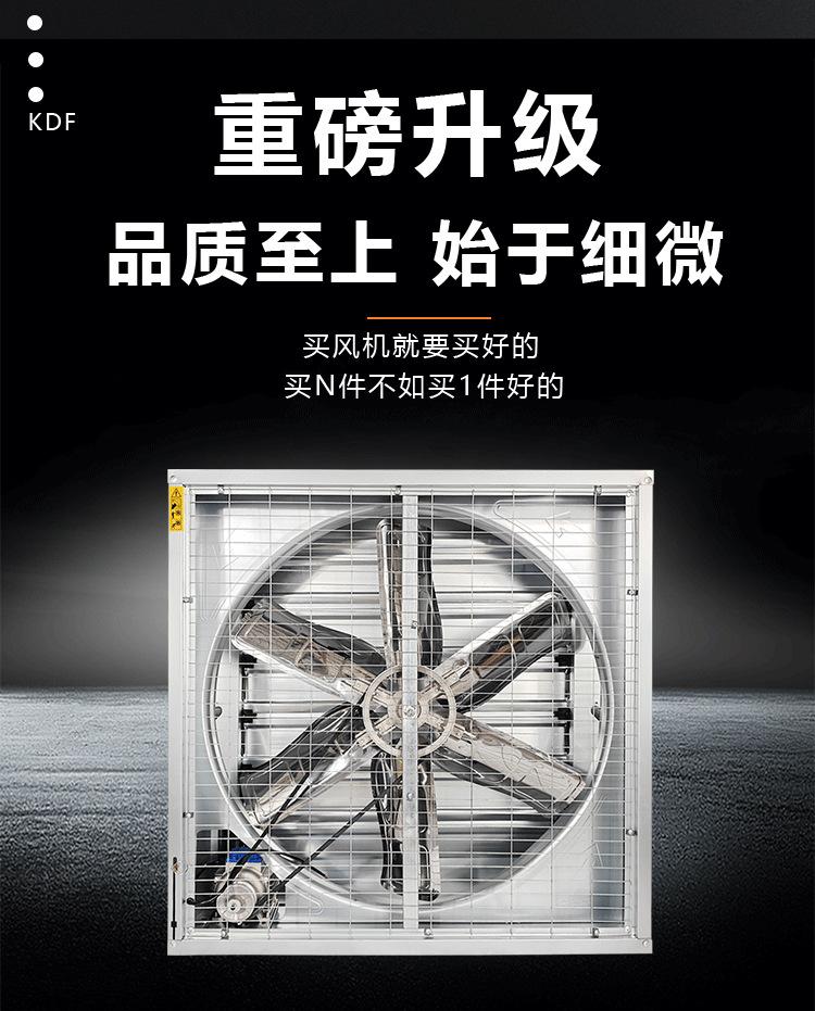 抖店最新详情页-拷贝123_11