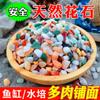[5kg] piedra de flor de lluvia natural boutique Piedra de guijarro jardinería decoración del hogar pavimentación pecera Piedra color piedra negro blanco amarillo rojo