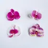 Item popular de comércio exterior: Cabeças de flores de orquídea Phalaenopsis artificiais grandes para casamentos, banquetes, arranjos de fotografia, peças de flores falsas com toque realista, materiais para adereços