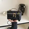 Bolso de mano para mujer, bolso de hombro cruzado de nicho de lujo ligero, bolso de cadena acolchado, bolso de mano versátil de alta gama, bolso tipo caja