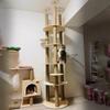 Serie Tongtianzhu Marco para Gatos de Madera Maciza Elevado Árbol para Gatos Grande Cápsula Espacial Nido para Gatos Plataforma para Saltar para Gatos Venta al por Mayor Integrada