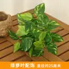 Acessórios para Parede de Plantas Artificiais Acessórios para Parede de Plantas Verdes Persa com Parede de Grama Pendurada Decoração Verde Interna Parede de Fundo para Varanda