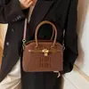 Bolsa Transversal Feminina, Exquisita, Leve, Luxuosa e de Alta Qualidade, Bolsa com Design de Nicho, Bolsa Portátil Feminina de Concha para Outono e Inverno