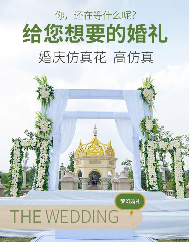 5叉波斯蕨_01_副本