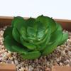 Venta al por mayor Mini Planta Suculenta Cabeza de Flor Artificial Pequeños Accesorios para Arreglos Florales Suculenta Falsa Flor de Plástico Planta Decorativa Planta en Maceta