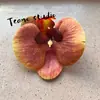 Cabeça de Flor de Orquídea Phalaenopsis Artificial, Textura de Película Impressa em 3D, Buquê Exquisito para Decoração de Casamento e Lembrança