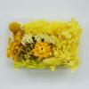 Material para manualidades DIY hecho a mano en caja, material de flor seca inmortal, abanico, tarjeta de felicitación, pegamento de gota, flor natural real, ventas directas de fábrica de Yunnan