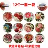 Rosas, Peonías, Claveles, Flores Pastorales Pintados a Mano Vintage, Serie de Periódicos, Pegatinas de Vidrio de Cristal, Imanes de Nevera Magnéticos Suaves