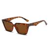 Óculos de Sol Olho de Gato Moda Europeia e Americana Versátil Simples Estilo de Rua Óculos Transfronteiriços Personalizados Refletivos