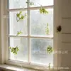 Cortinas Florales Verdes Simuladas y Decoraciones de Cortina de Flores de Perla Están Llenas de Vitalidad y Son un Producto Transfronterizo de Gran Venta