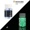 Polvo de Lentejuelas Luminosas con Brillo Transfronterizo 12 Colores Mezclados Polvo de Brillo Fluorescente Pegamento Flujo de Cáñamo DIY Lentejuelas Luminosas para Uñas
