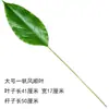 Caparazón de tortuga simulado de una sola pieza, cola escasa, hoja verde, hoja artificial única, decoración de jardín de infantes, decoración de boda, hoja de plástico