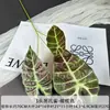 Material de hoja de simulación hoja de taro pavo real negro modelo de casa diseño de boda arreglo floral al por mayor una generación de cabello