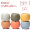 Maceta para pulgar suculenta mini mini maceta para pulgar maceta de cerámica para flores suculentas planta creativa flor pequeña Ma Long mesa Mai Tai Bao