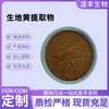 Extracto de Rehmannia Glutinosa 10:1, Polvo de Rehmannia Glutinosa y Otros Polvos de Alta Proporción Están Disponibles para Venta Directa de Fábrica