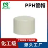 Tapón de Tubería Pph Tapa de Enchufe PPR Enchufe Soldadura por Fusión en Caliente Accesorios para Tuberías de Plástico PP Resistencia a Altas Temperaturas Suministro de Fábrica Venta al por Mayor