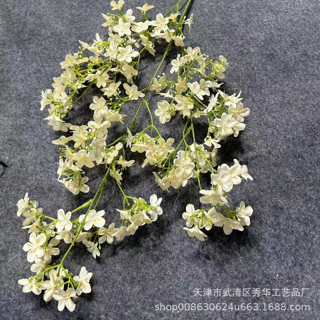丁香花香槟色