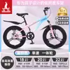 Bicicleta Infantil Phoenix para Niñas de 6-12-15 Años, Adolescentes, Niños Mayores, Bicicleta de Montaña con Cambios para Estudiantes