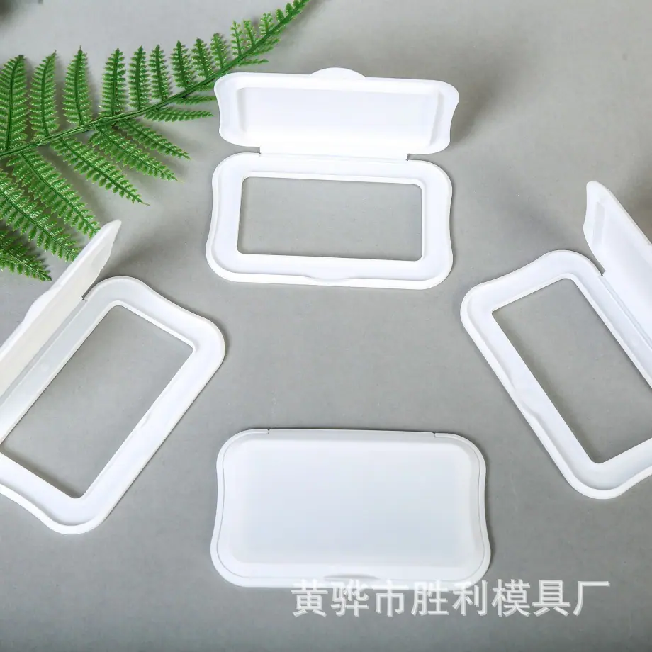 HL-16 小蛮腰 (7).JPG