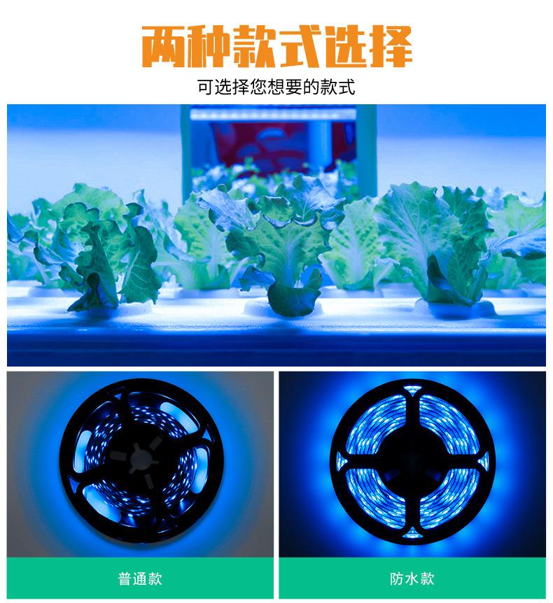 USB-手扫感应冰蓝-植物灯带-_04.jpg