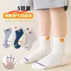 Calcetines para Niñas Lolita Verano Encaje Princesa Niñas Transpirables Malla Fina Calcetines Cortos para Niñas Calcetines de Encaje de Caña Media