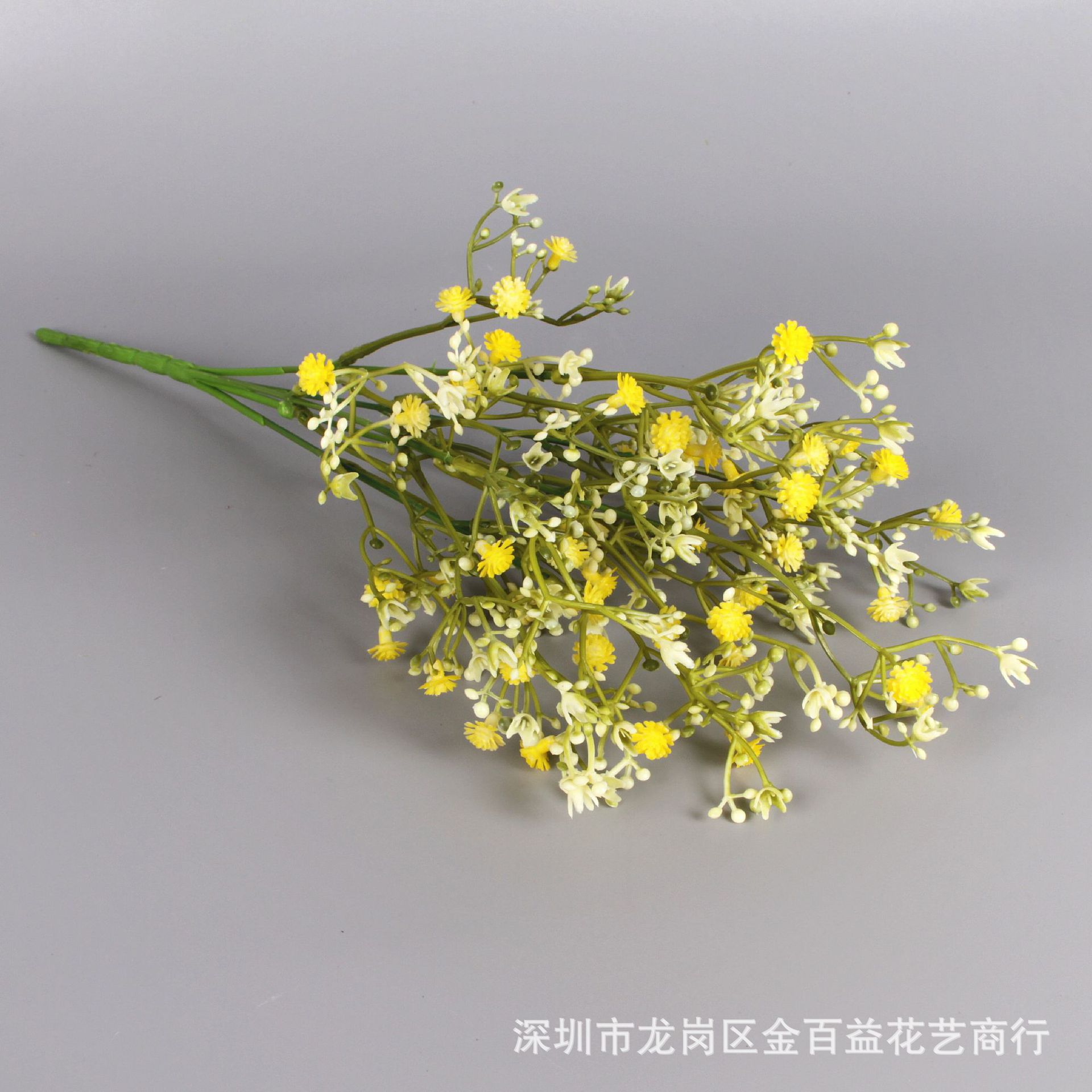 IMG_0546_副本.jpg