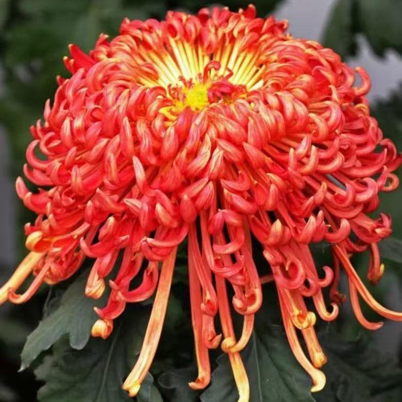 0e392472c3fb6b19ff9102a2b49fbd