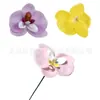 Flor de jabón simulada Phalaenopsis coreana Cabeza de flor Decoración de flores Decoración del hogar Decoración de ramo Flor de jabón DIY Wholesale