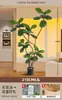 2026 Planta Verde Realista Higuera de Hoja de Violín Maceta de Piso Planta de Interior Grande Planta Biónica Adorno Decoración de Sala de Estar Flor Árbol Falso