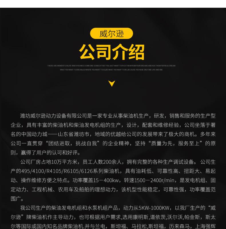 潍坊20305075100120150kw燃气发电机组天然气