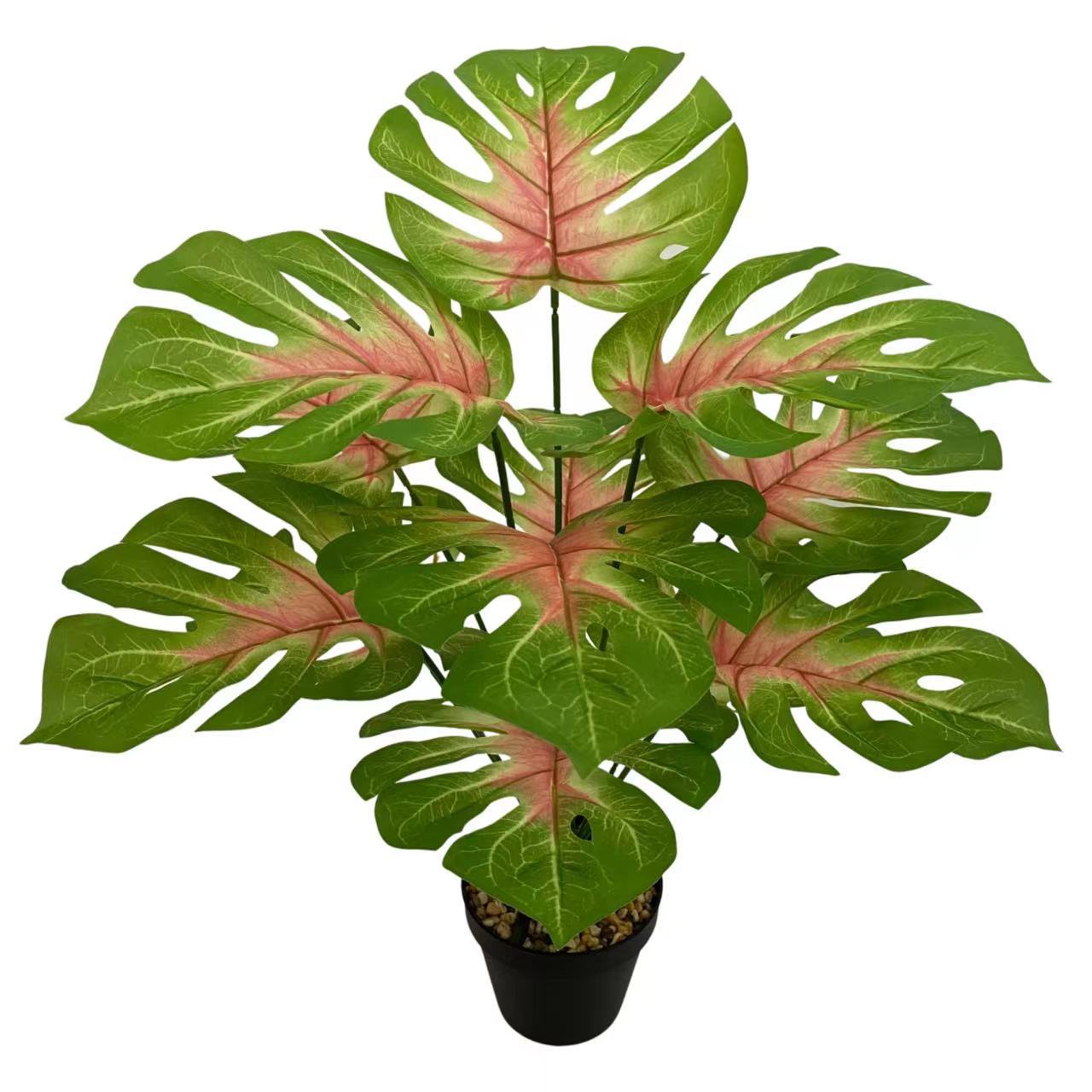 微信图片_20230211215301