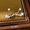 Brincos de Agulha Prateada com Estrelas de Zircônia e Pérolas, Estilosos e Únicos, Brincos da Moda de Nicho com um Toque de Luxo Leve e de Alta Qualidade, Atacado