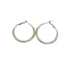 Brincos Ovais Simples de Agulha de Prata Metal Frio Argola de Orelha Leve Luxo High-end Moda Brincos Senso de Design Nicho