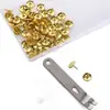 Alfinetes de Caixa do Fabricante, 100 Peças, Alfinetes Chatos Revestidos de Plástico, Dourado, Preto, Branco, Alfinetes para Quadro de Cortiça