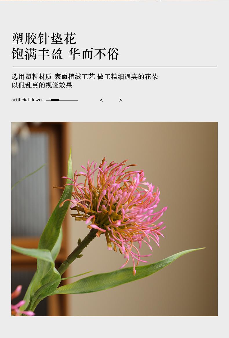 单枝6叶针垫花_02.jpg