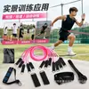 Set de 11 piezas de bandas de resistencia, bandas de resistencia TPE de alta elasticidad, anclaje de puerta para entrenamiento de fitness en casa, set de entrenador de resistencia para yoga