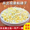 Maíz Dulce Pegajoso del Noreste Molido Fresco para Gachas y Cereales de Grano Grueso