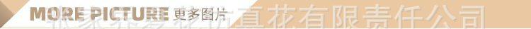 单支绣球豆花（2组叶）_19.jpg