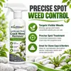 KineShineX Spray Herbicida para Grietas de Piedra de Paisaje 120ML, un herbicida para eliminar malas hierbas de los huecos entre las piedras del jardín