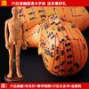 Modelo de cuerpo humano de hombre y mujer con meridianos súper claros de 50 cm, modelo de meridiano de cuerpo humano, modelo de punto de acupuntura de bronce de medicina china