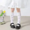 Calcetines de Malla de Encaje de Verano para Niñas Estilo Japonés Hasta la Rodilla, Calcetines Largos de Tubo Alto tipo Slouch para Pantorrilla, Calcetines Delgados de Princesa para Niños