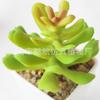 Suculenta Artificial Cabeça de Flor de Suculenta Artificial Bonsai Artificial Acessórios DIY Fabricante Conjunto de Cabeças de Flor de Suculenta Cor Personalizada