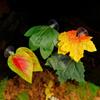 Planta Artificial Lagarto Camaleón Serpiente Reptil Alimentación Agua Hoja Nomo Varios Decorativos Paisajismo con Ventosas