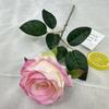 Nuevo conjunto de rosas Aisha transfronterizas para bodas, decoración de pared con flores para el día de San Valentín, arreglos florales para el hogar al por mayor