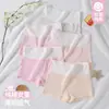Roupa Íntima Feminina, Cueca Boxer de Algodão Puro para Meninas, Crianças, Alunos do Ensino Fundamental e Médio, Meninas em Fase de Desenvolvimento, Estilo Fino, Atacado