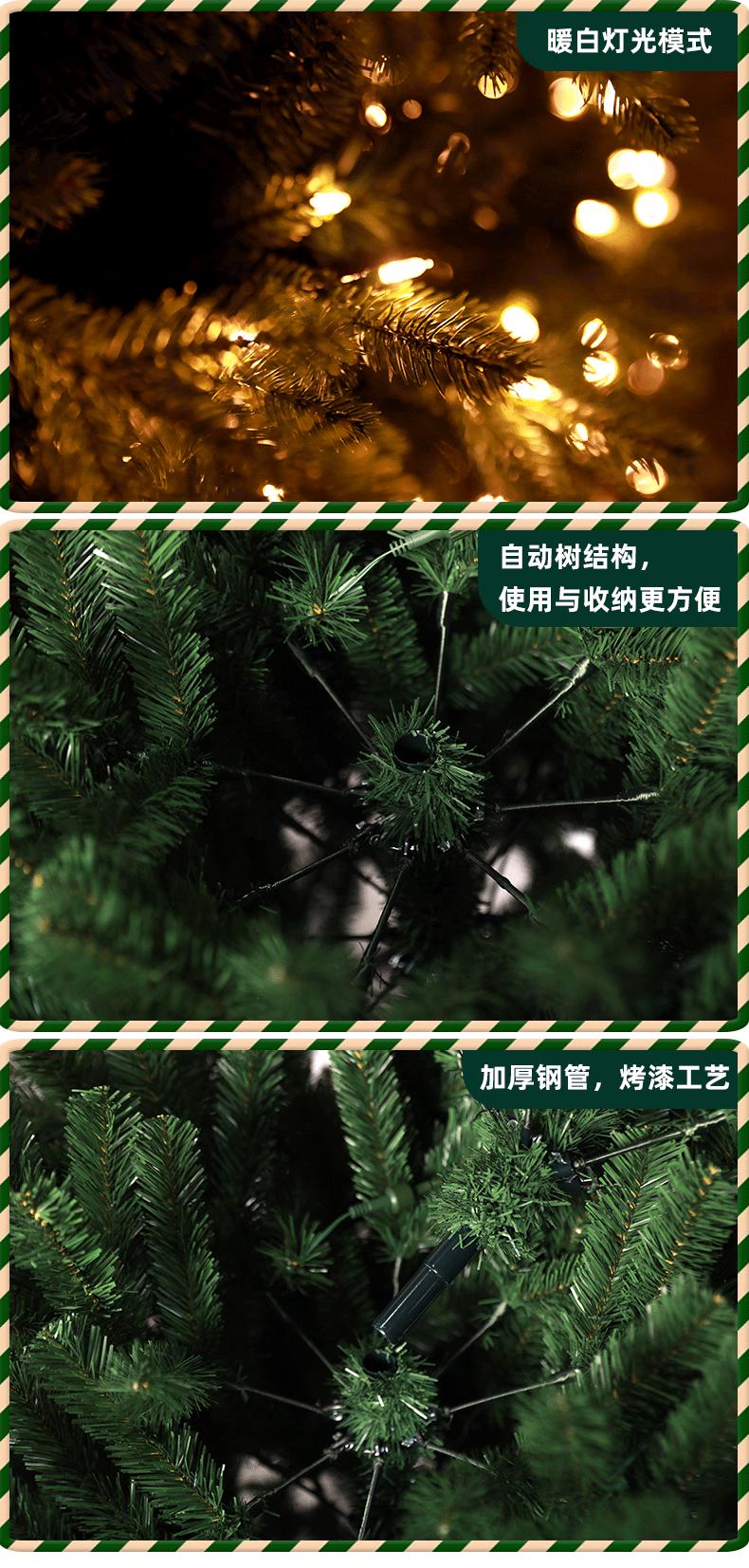 未标题-1_06.gif