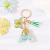Novo chaveiro com borla de borboleta verde, pingente de bolsa de pedra em folha de ouro epóxi de cristal, presente para amigos