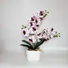 Estilo Nórdico 2 Puntas 18 Flores Phalaenopsis Planta Artificial en Maceta para Decoración de Mesa de Cafetería Bar Adorno de Bonsái Flor Artificial