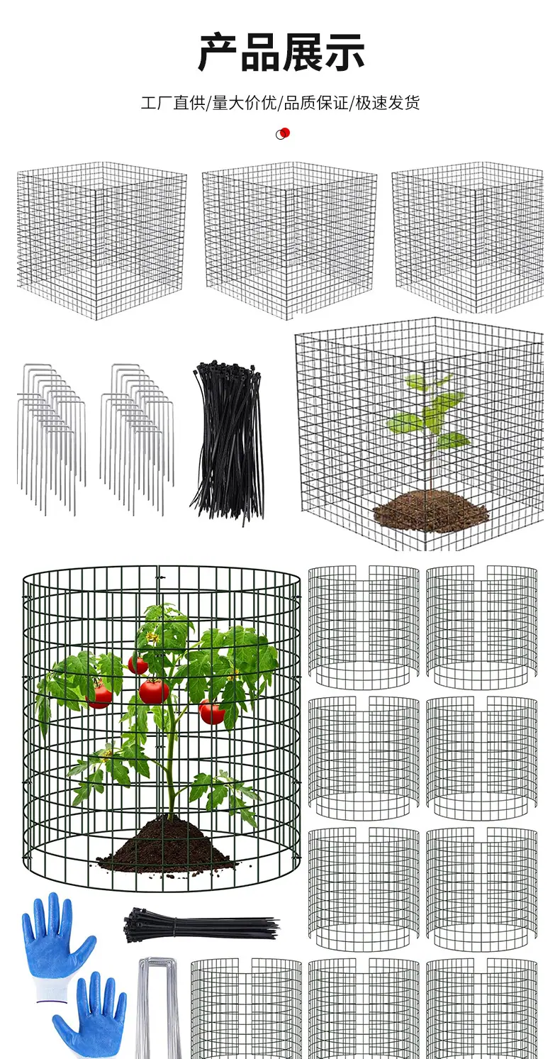植物保护网片2_07.jpg